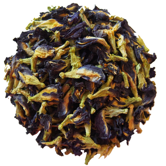 CLITORIA TERNATENA. 25g.